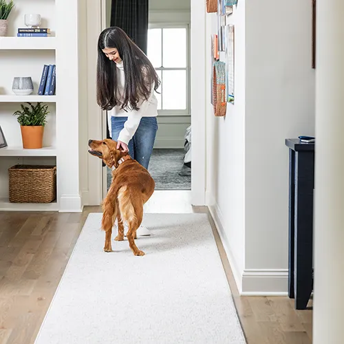 Foot-Traffic Area Rug Foot Traffic | Sterling Carpet & Flooring