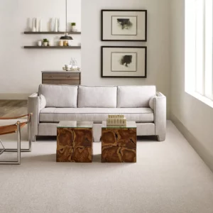 OUTSIDE-THE-LINES-E9645-SNOW-FALL-00101H living room Carpet | Sterling Carpet & Flooring