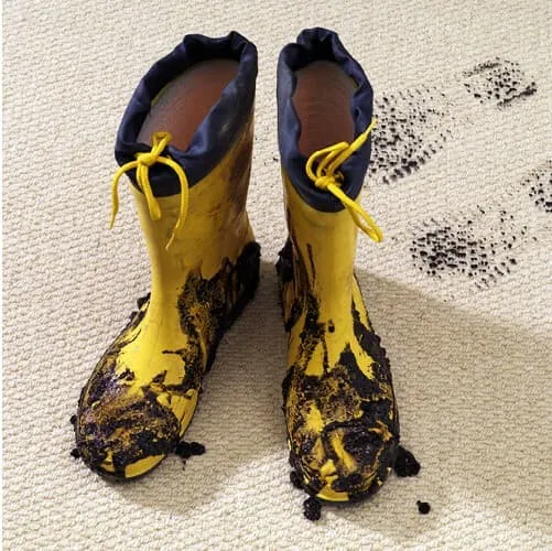 Carpet care | Sterling Carpet & Flooring