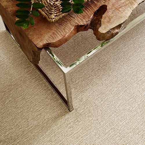 NEW-WAVE-ZZ056-WINDSWEPT-00222-H-DETAIL_500x500 Flooring backing-circle | Sterling Carpet & Flooring