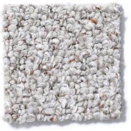 Patterned Carpet | Sterling Carpet & Flooring