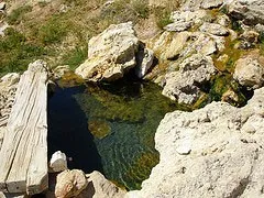 Natural water | Sterling Carpet & Flooring